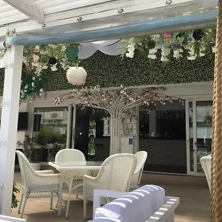 Pool Unique Luxury *